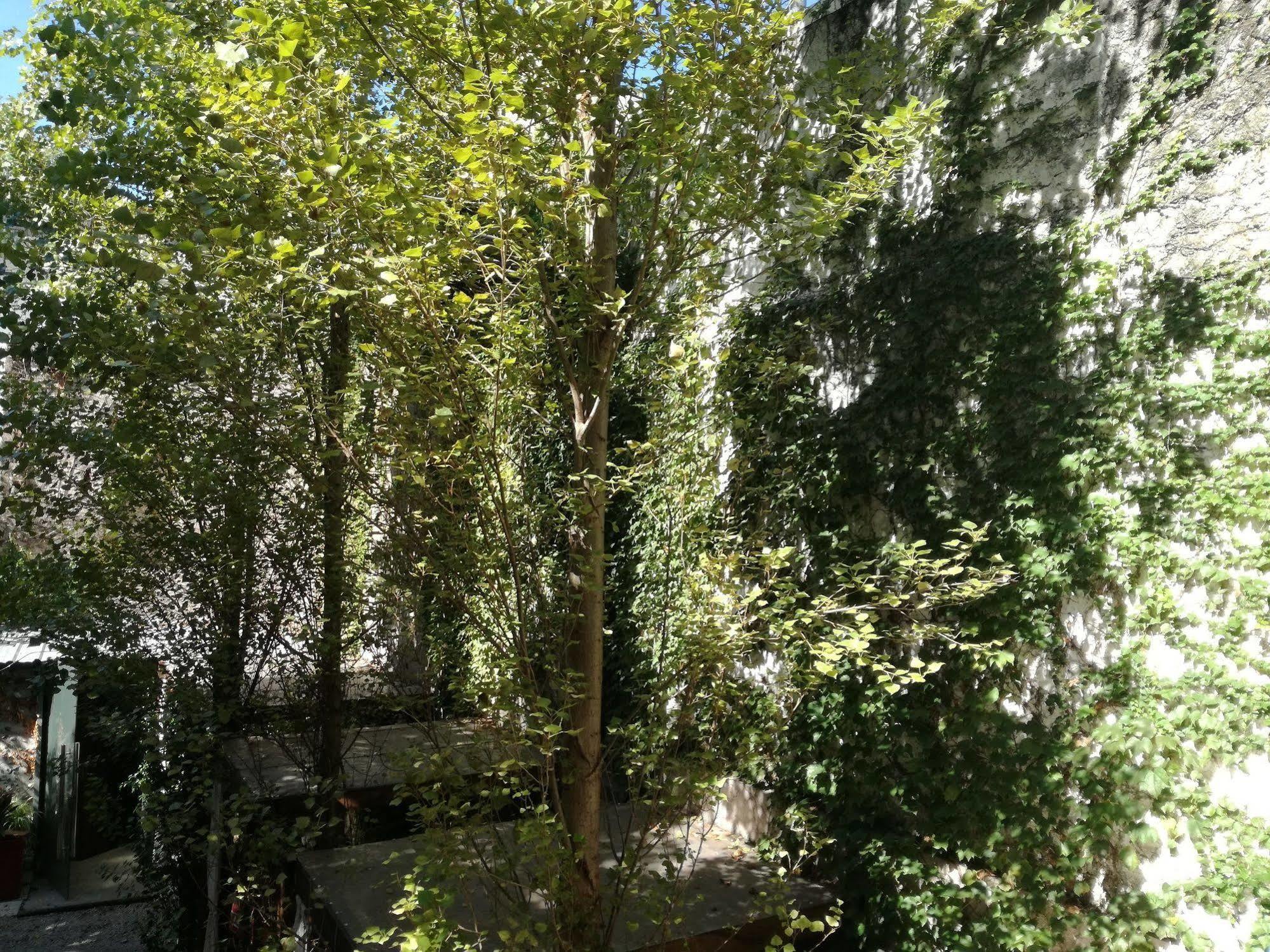 Feel Buenos Aires Apartments Dış mekan fotoğraf